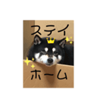 さくandふく（個別スタンプ：7）