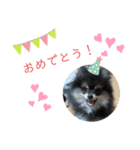 ミロスタンプ③（個別スタンプ：7）