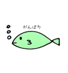とりあえず魚（個別スタンプ：14）