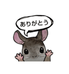 ねずみ共（個別スタンプ：1）