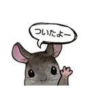 ねずみ共（個別スタンプ：4）