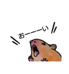 ねずみ共（個別スタンプ：11）