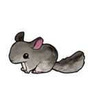 ねずみ共（個別スタンプ：16）