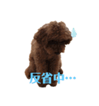 我が家のきーたん（個別スタンプ：3）