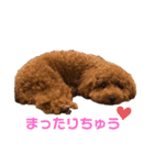 我が家のきーたん（個別スタンプ：4）