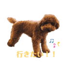 我が家のきーたん（個別スタンプ：8）
