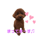 我が家のきーたん（個別スタンプ：10）