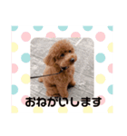我が家のきーたん（個別スタンプ：14）