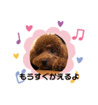我が家のきーたん（個別スタンプ：24）