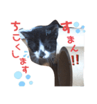 ハナとウランの日常（ちびっ子ver）（個別スタンプ：3）