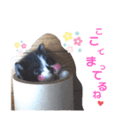ハナとウランの日常（ちびっ子ver）（個別スタンプ：5）
