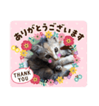 ハナとウランの日常（ちびっ子ver）（個別スタンプ：14）