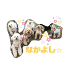 マロンちゃんメルちゃんの仲良しスタンプ2（個別スタンプ：8）