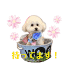 マロンちゃんメルちゃんの仲良しスタンプ2（個別スタンプ：16）