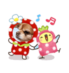 チワワのちーちゃん2（個別スタンプ：9）