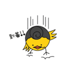 ヤンキーぴよちゃん（個別スタンプ：20）