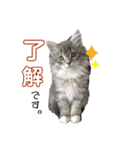 むぎちゃんダイアリー（個別スタンプ：7）