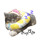 むぎちゃんダイアリー（個別スタンプ：8）