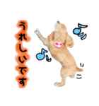 イブちゃんの日常2（個別スタンプ：6）