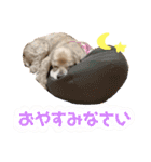 イブちゃんの日常2（個別スタンプ：7）