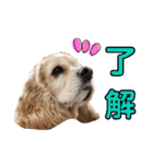 イブちゃんの日常2（個別スタンプ：9）