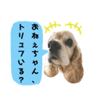 イブちゃんの日常2（個別スタンプ：15）
