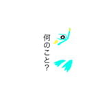 zooism 〜鳥〜（個別スタンプ：6）