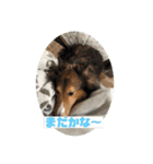 チェロ スタンプ（個別スタンプ：3）