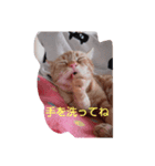 プリンちゃんとマロンちゃんその3（個別スタンプ：3）