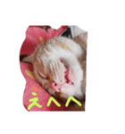 プリンちゃんとマロンちゃんその3（個別スタンプ：4）