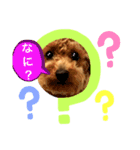 ショコロン家族用2（個別スタンプ：3）