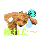 ショコロン家族用2（個別スタンプ：5）