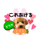 ショコロン家族用2（個別スタンプ：7）
