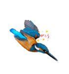 Happy BirdWatching ！？ 3（個別スタンプ：2）