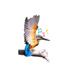Happy BirdWatching ！？ 3（個別スタンプ：3）
