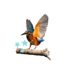 Happy BirdWatching ！？ 3（個別スタンプ：4）