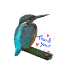 Happy BirdWatching ！？ 3（個別スタンプ：7）
