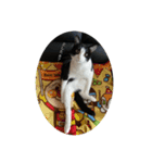oreo_03100310（個別スタンプ：1）