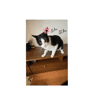 oreo_03100310（個別スタンプ：8）