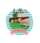 浅草プードル（個別スタンプ：6）