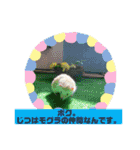 浅草プードル（個別スタンプ：9）