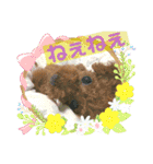 浅草プードル（個別スタンプ：11）