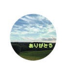 洋野の空とごん太郎（個別スタンプ：10）