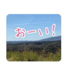 洋野の空とごん太郎（個別スタンプ：12）