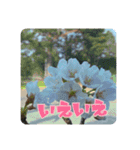 洋野の空とごん太郎（個別スタンプ：16）
