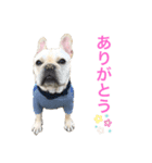 フレブルブライアンスタンプPart1（個別スタンプ：3）