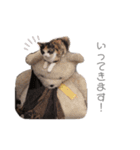 そらまめの日常（個別スタンプ：8）
