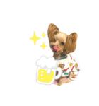 ヨーキーきぃちゃん（個別スタンプ：15）