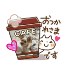 ヨーキーきぃちゃん（個別スタンプ：16）