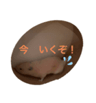 のびのび坊ちゃんスタンプ（個別スタンプ：1）